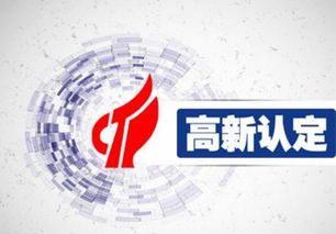 高新技術(shù)企業(yè)認定中的總收入與高新技術(shù)產(chǎn)品收入詳解